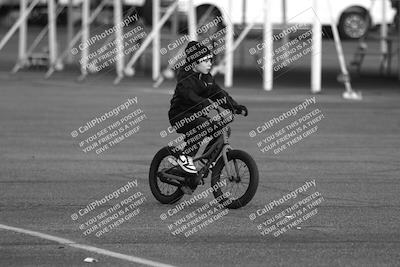 media/Dec-14-2024-2WTD (Sat) [[b53451bd06]]/Around the Pits/